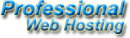 Professional Web Hosting